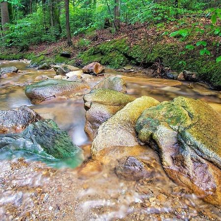 Biohof Laibacher Stubenberg Exteriér fotografie