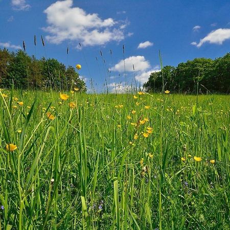 Biohof Laibacher Stubenberg Exteriér fotografie