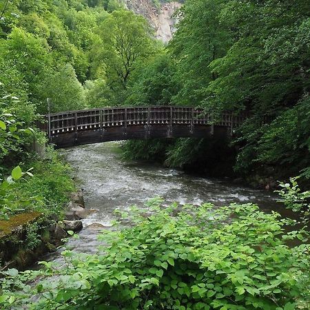 Biohof Laibacher Stubenberg Exteriér fotografie