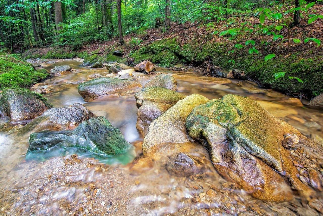 Biohof Laibacher Stubenberg Exteriér fotografie