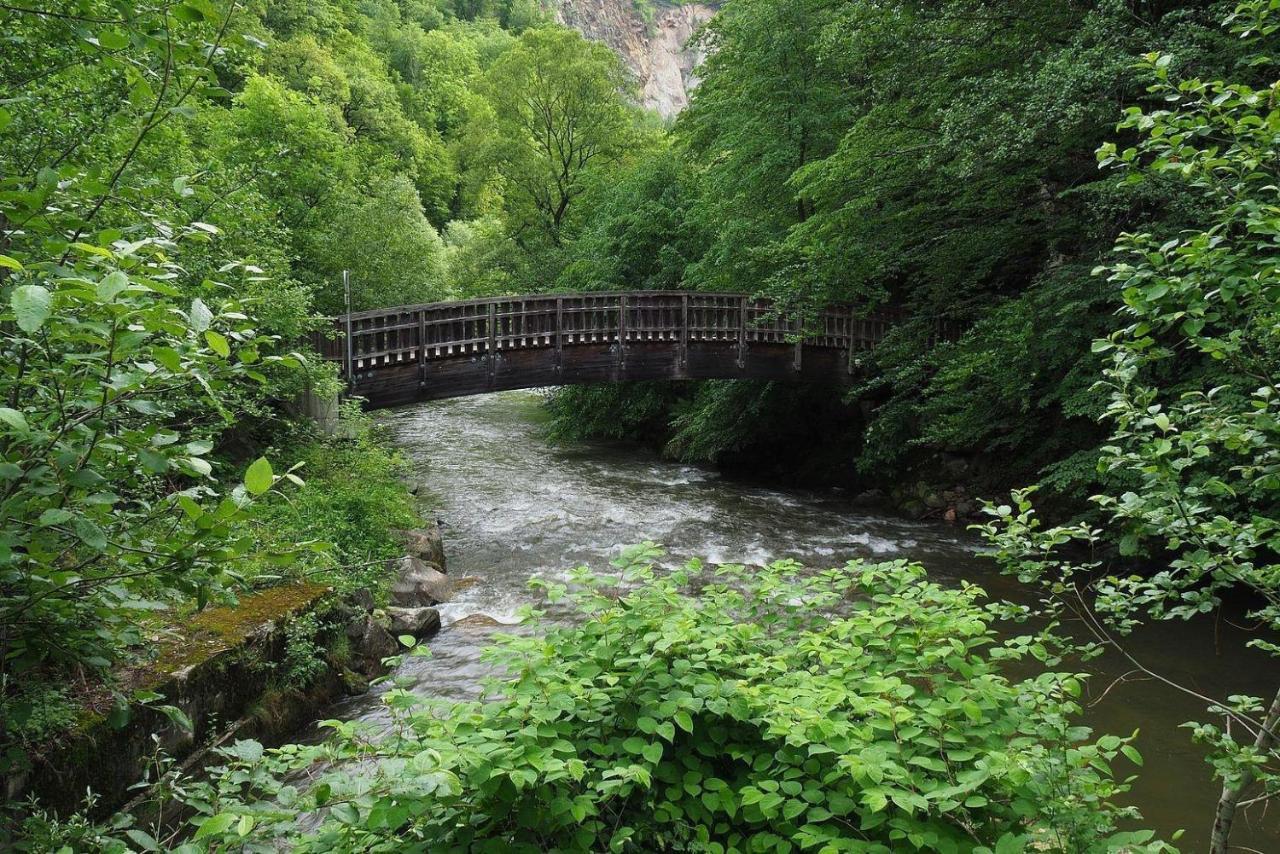 Biohof Laibacher Stubenberg Exteriér fotografie